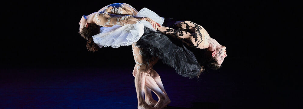 Le Lac des Cygnes | Florence Caillon - Cie L’Éolienne  | Cirque | 7 ans et + | Spectacle accessible aux personnes sourdes ou malentendantes