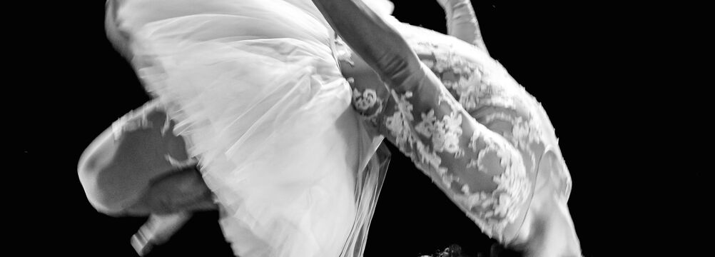 Stage acrodanse autour du spectacle Le Lac des Cygnes