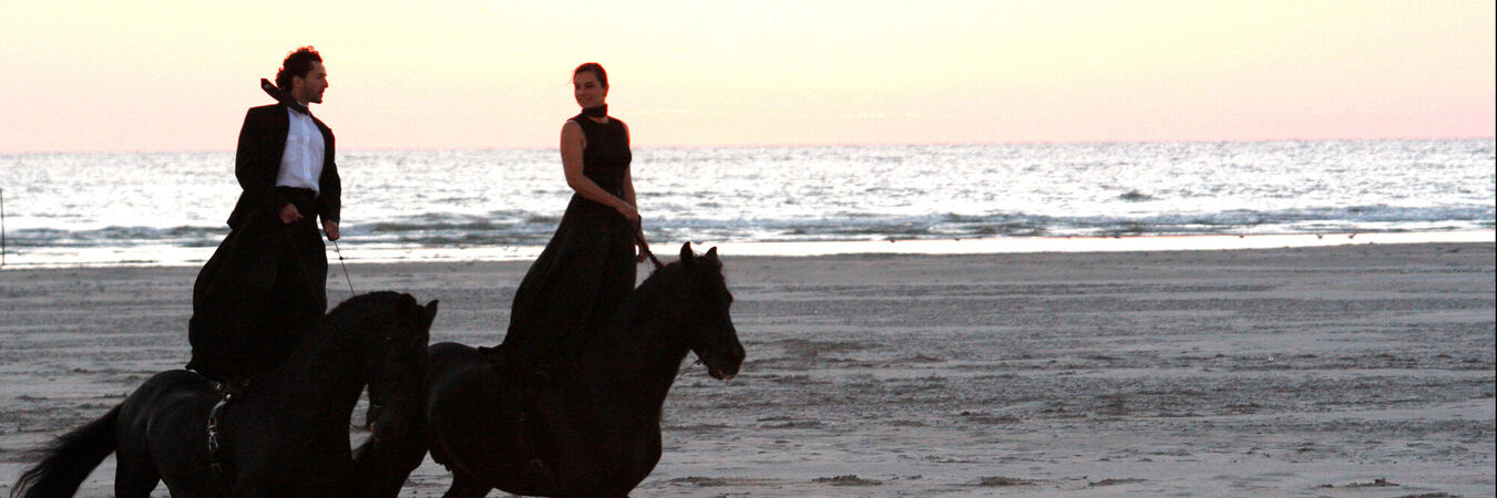 Infos pratiques Entre Chiens et Loups | Entre Chiens et Loups - Théâtre du Centaure | Infos pratiques pour les représentations du 13 & 14 juin au Théâtre de la Mer, Sère