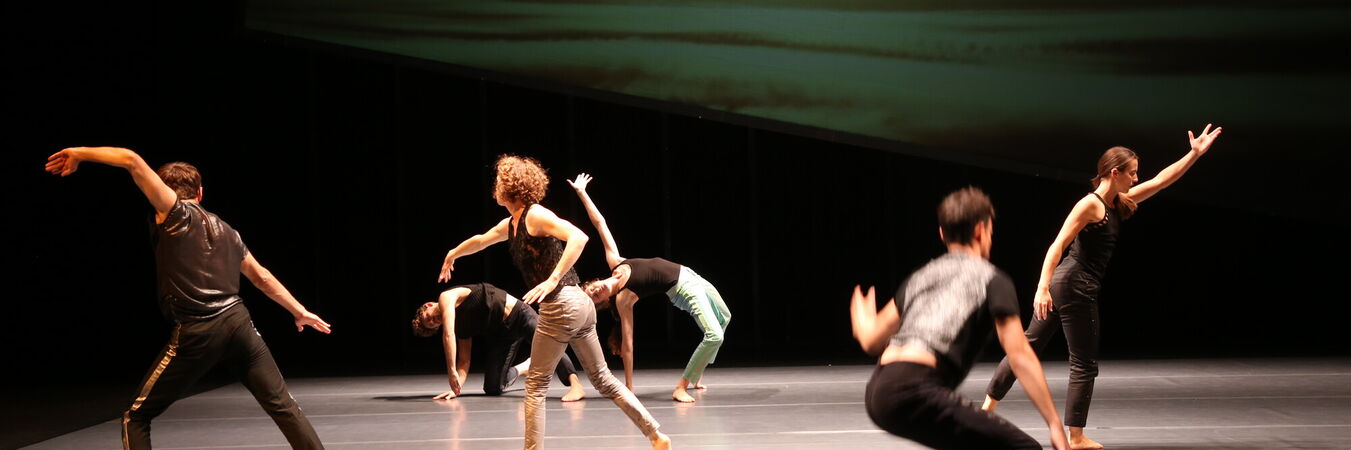 Paradox(al) | Paradox(al) - François Veyrunes | danse | - Cie 47•49 | Spectacle accessible aux personnes sourdes ou malentendantes