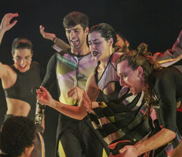 Stage danse