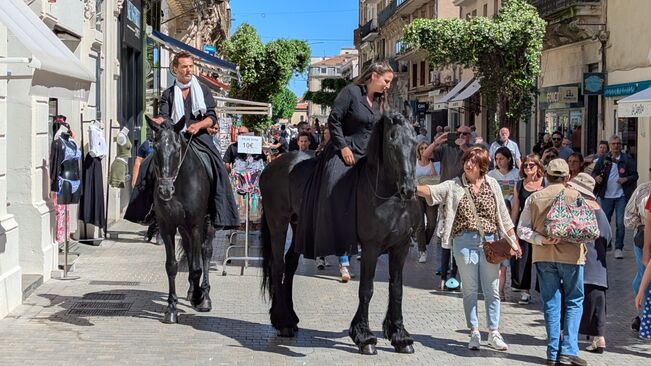 [DÉCOUVERTE #3] Entre Chiens & Loups