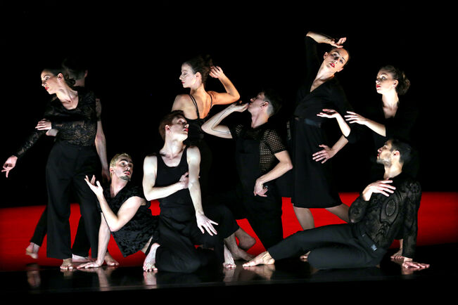 Magnifiques - Une éphémère éternité