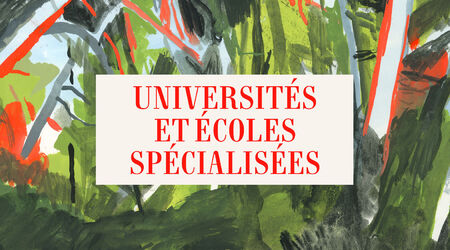 Les 3 → 20 ans / Enseignement supérieur