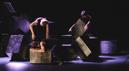 Saison 2020 – 2021 / Devenir Hibou | ANNULÉ, Magali Milian - Romuald Luydlin - C<sup>ie</sup> La Zampa