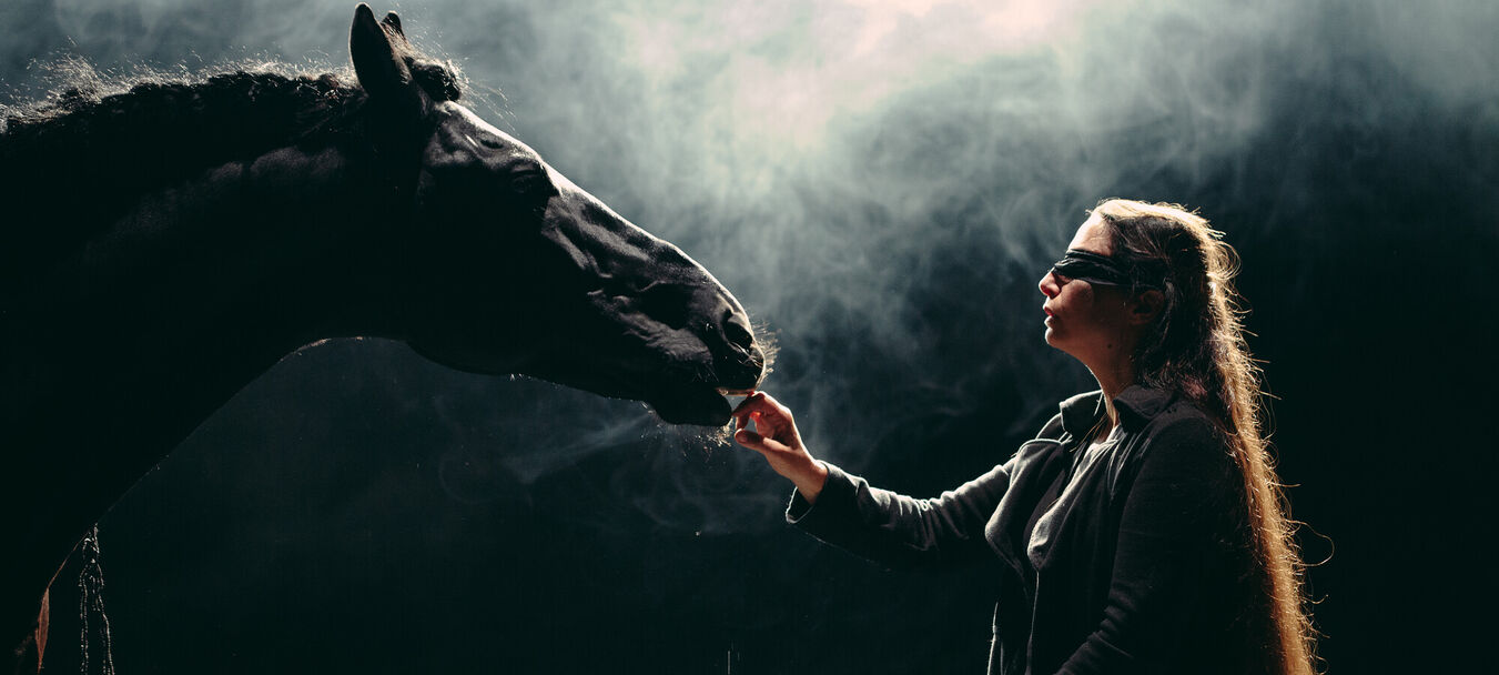 Nyx | Fabrice Melquiot – Camille – Théâtre du Centaure