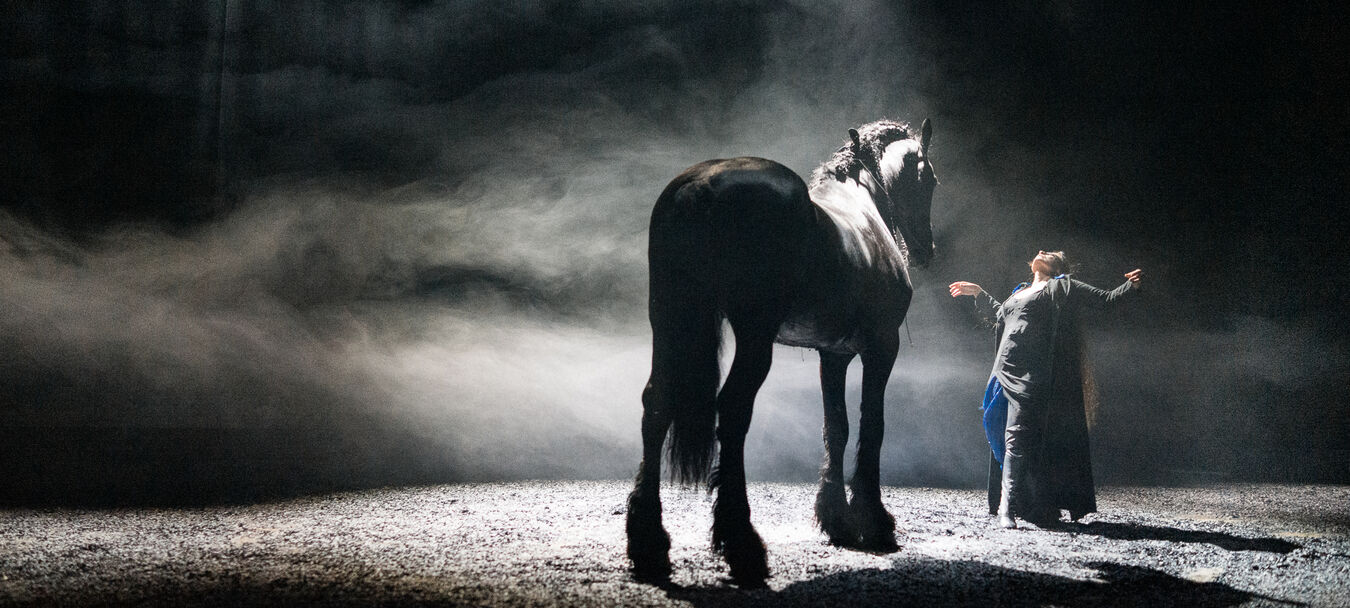 Nyx | Fabrice Melquiot – Camille – Théâtre du Centaure