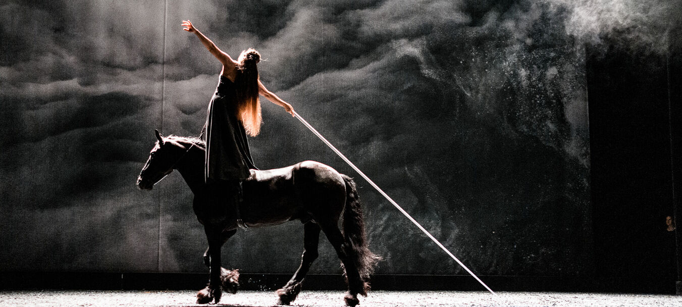 Nyx | Fabrice Melquiot – Camille – Théâtre du Centaure