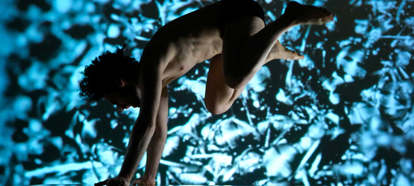 Pinocchio | Emilio Calcagno - C<sup>ie</sup> ECO