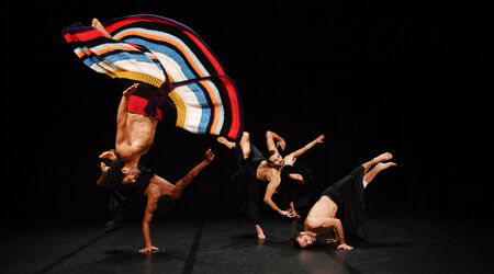 Saison 2023 – 2024 / Baal, Baal - Florence Bernad - Groupes Noces - Danse - Biennale des Arts de la Scène en Méditerranée, Florence Bernad - Groupe Noces