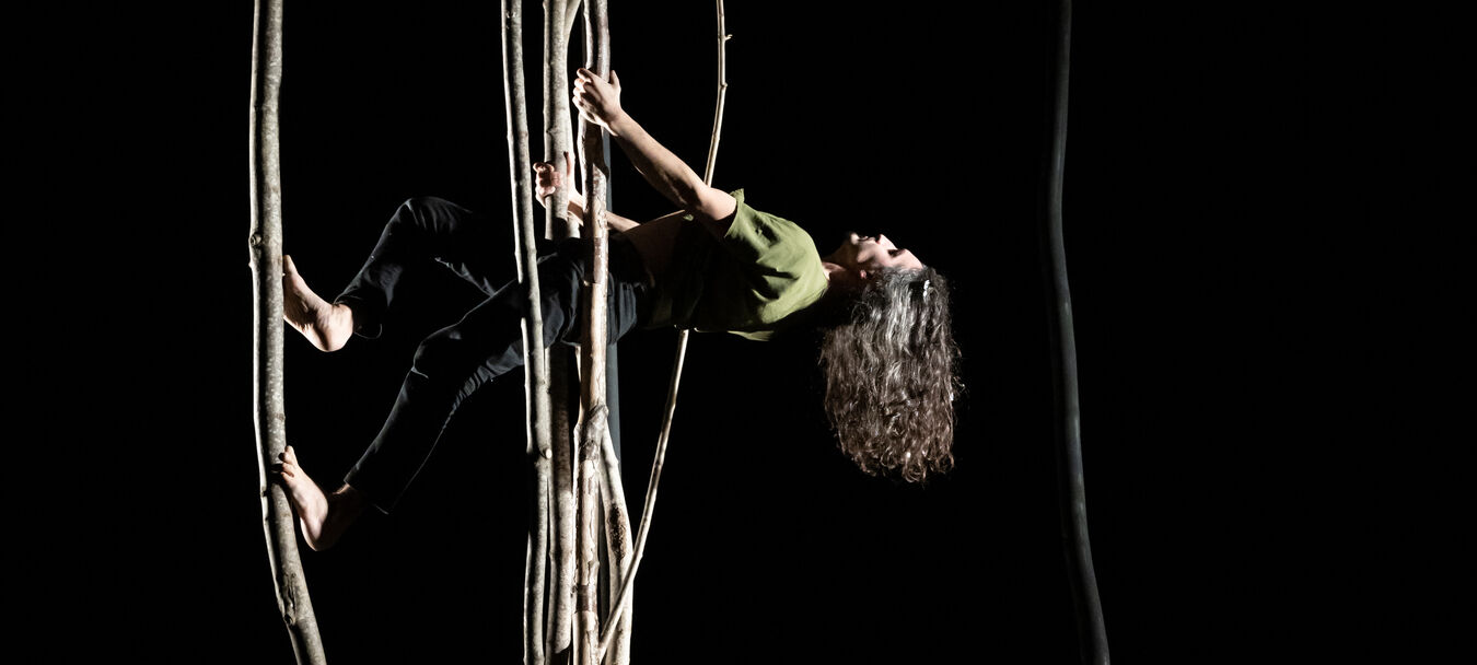 Brame | Brame | Fanny Soriano - Cie Libertivore | Cirque | Fanny Soriano - C<sup>ie</sup> Libertivore