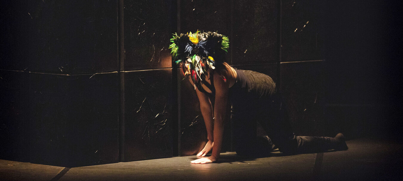 Devenir Hibou | Devenir Hibou - Magali Milian - Romuald Luydlin - Cie La Zampa - Danse | Magali Milian - Romuald Luydlin - C<sup>ie</sup> La Zampa