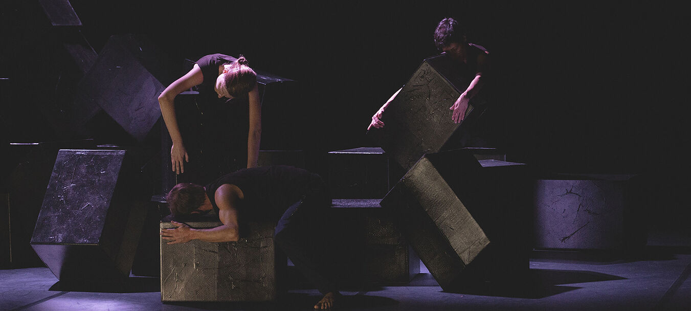 Devenir Hibou | Devenir Hibou - Magali Milian - Romuald Luydlin - Cie La Zampa | Magali Milian - Romuald Luydlin - C<sup>ie</sup> La Zampa