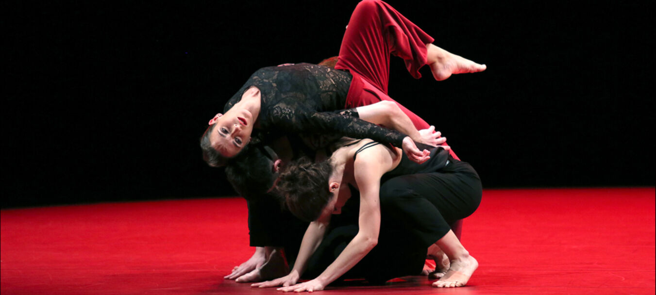 Magnifiques | Magnifiques - Une éphémère éternité | Jean-Sébastien Bach - Michel Kelemenis | Jean-Sébastien Bach - Michel Kelemenis