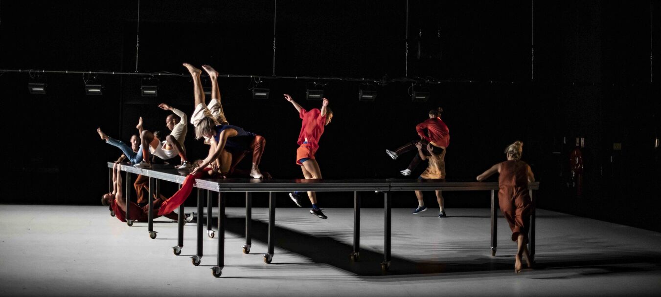 Saltarines | Samuel Mathieu - Fabienne Donnio