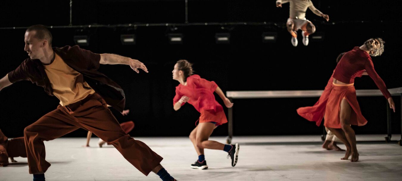 Saltarines | Samuel Mathieu - Fabienne Donnio