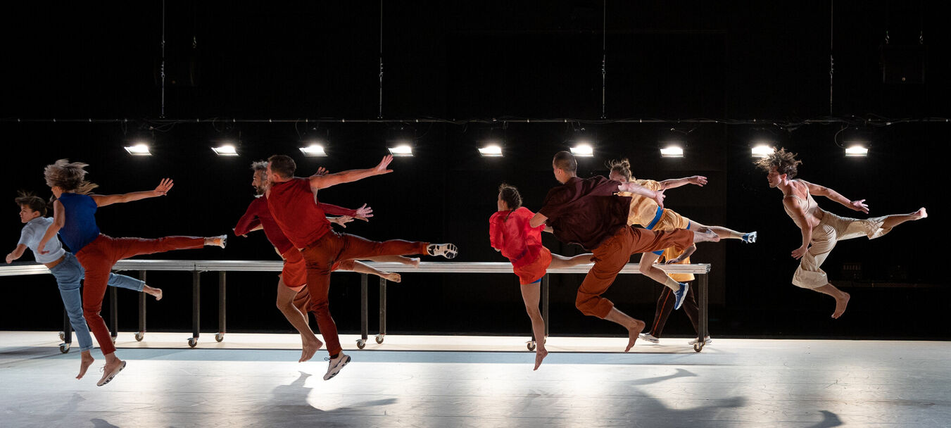 Saltarines | Samuel Mathieu - Fabienne Donnio