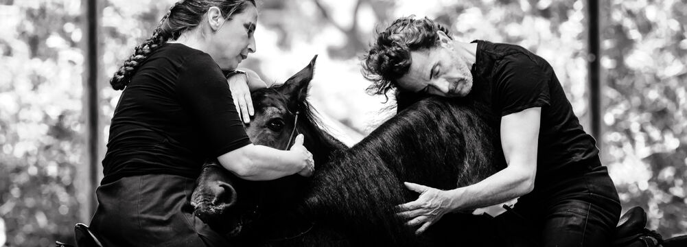 Entre chiens et loups | Théâtre du Centaure | Théâtre équestre | Spectacle accessible aux personnes sourdes ou malentendantes