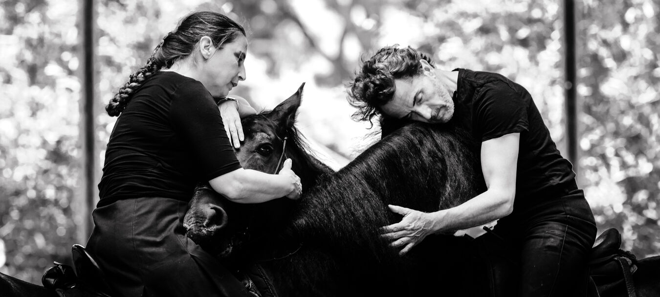 Entre chiens et loups | Entre chiens et loups | Théâtre du Centaure | Théâtre équestre | Spectacle accessible aux personnes sourdes ou malentendantes | Théâtre du Centaure