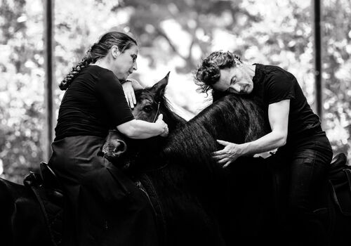 Entre chiens et loups | Théâtre du Centaure | Théâtre équestre | Spectacle accessible aux personnes sourdes ou malentendantes