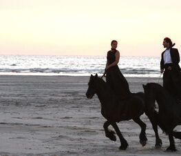 Entre Chiens et Loups