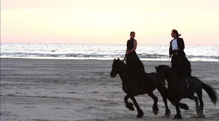 Saison 2024 – 2025 / Entre chiens et loups, Entre chiens et loups | Théâtre du Centaure | Théâtre équestre | Spectacle accessible aux personnes sourdes ou malentendantes, Théâtre du Centaure