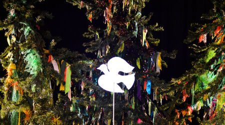 Saison 2024 – 2025 / La Louve, La Louve | Félicie Artaud - Cie Joli Mai | Théâtre jeune public - 8 ans et +, Félicie Artaud - C<sup>ie</sup> Joli Mai