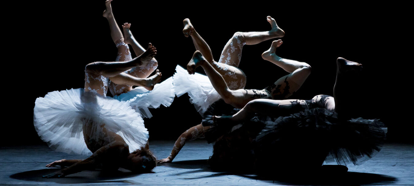 Le Lac des Cygnes | Le Lac des Cygnes | Florence Caillon - Cie L’Éolienne  | Cirque | 7 ans et + | Spectacle accessible aux personnes sourdes ou malentendantes | Florence Caillon - C<sup>ie</sup> L’Éolienne