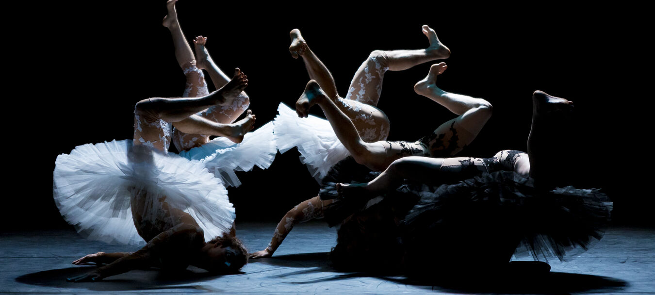 Le Lac des Cygnes | Le Lac des Cygnes | Florence Caillon - Cie L’Éolienne  | Cirque | 7 ans et + | Spectacle accessible aux personnes sourdes ou malentendantes | Florence Caillon - C<sup>ie</sup> L’Éolienne