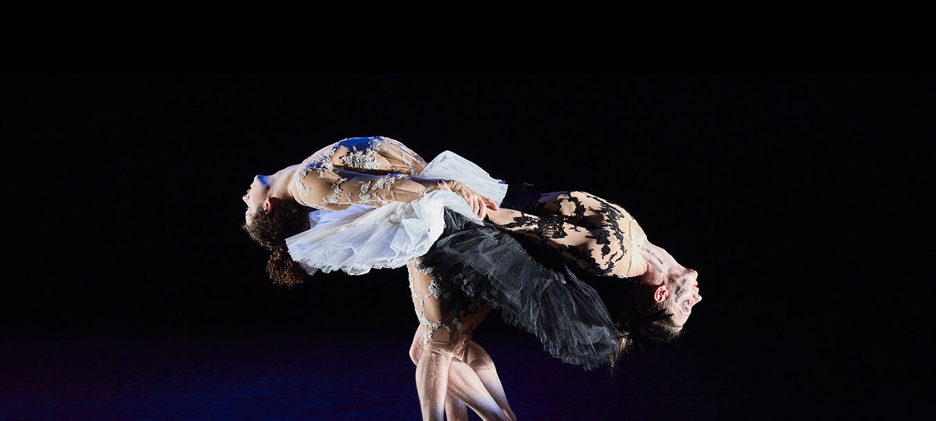 Le Lac des Cygnes | Le Lac des Cygnes | Florence Caillon - Cie L’Éolienne  | Cirque | 7 ans et + | Spectacle accessible aux personnes sourdes ou malentendantes | Florence Caillon - C<sup>ie</sup> L’Éolienne