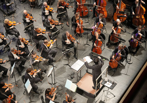 Orchestre national Montpellier Occitanie | Beethoven - Panufnik  Reinecke |  Musique classique | Spectacle accessible aux personnes aveugles ou malvoyantes