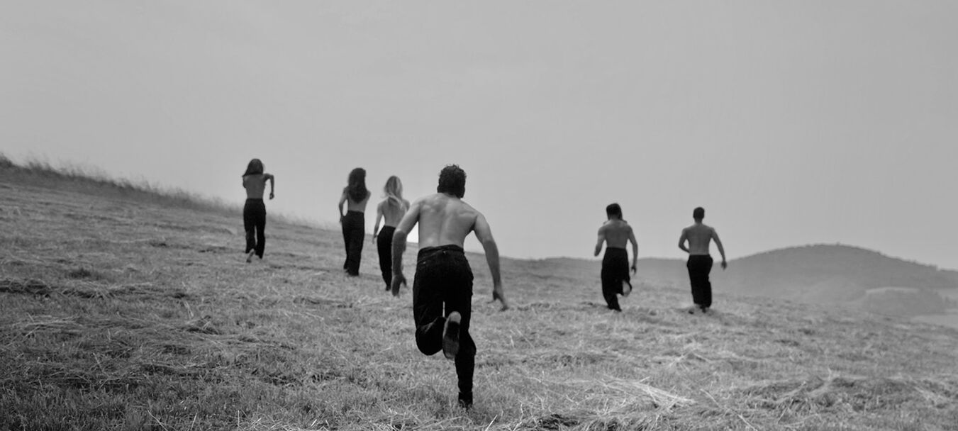 Babel Torre Viva | Babel Torre Viva - David Coria | Flamenco | Théâtre de la Mer, Sète | David Coria