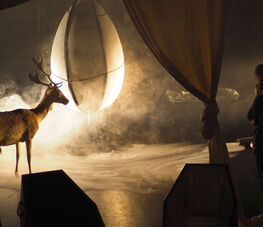 Et tout est rentré dans le désordre