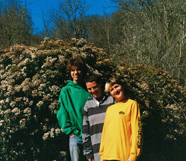 GiGiGi / Prima Kanta