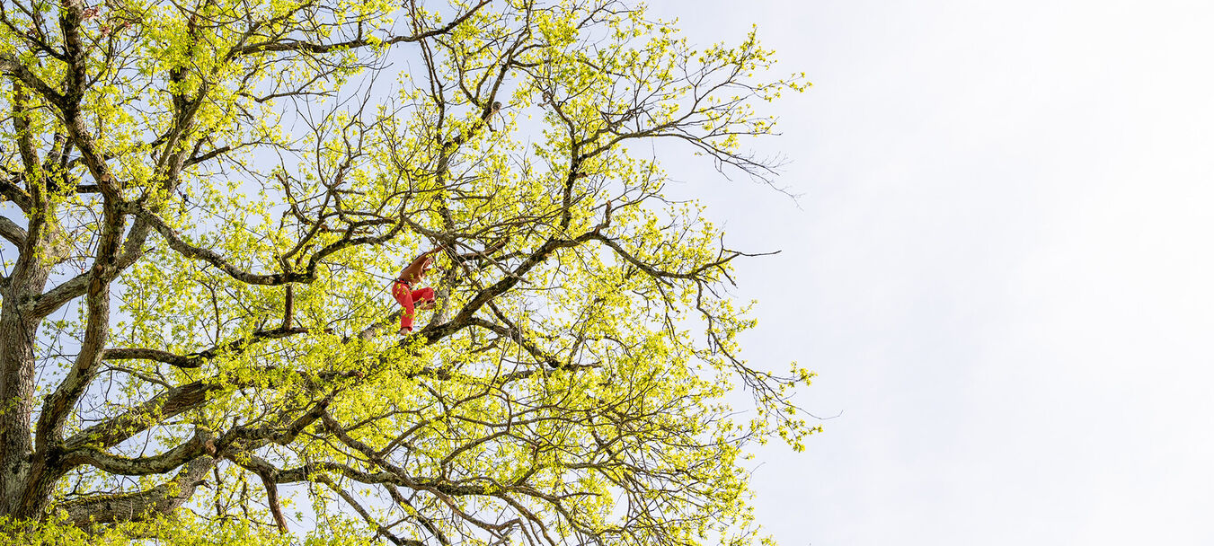 Hybride | Hybride | Sylvie Klinger – Eva Manin – Cie Olaf Linësky | Temps fort Alors, on danse ! | Spectacle accessible aux personnes sourdes ou malentendantes | Sylvie Klinger – Eva Manin – C<sup>ie</sup> Olaf Linësky