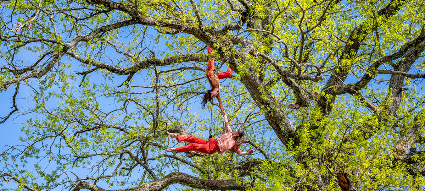 Hybride | Hybride | Sylvie Klinger – Eva Manin – Cie Olaf Linësky | Temps fort Alors, on danse ! | Spectacle accessible aux personnes sourdes ou malentendantes | Sylvie Klinger – Eva Manin – C<sup>ie</sup> Olaf Linësky