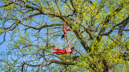 Saison 2025-2026 / Hybride, Hybride | Sylvie Klinger – Eva Manin – Cie Olaf Linësky | Temps fort Alors, on danse ! | Spectacle accessible aux personnes sourdes ou malentendantes, Sylvie Klinger – Eva Manin – C<sup>ie</sup> Olaf Linësky