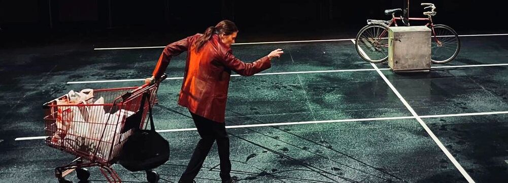 Super | Pauline Collin – Cie Pour M. | Théâtre